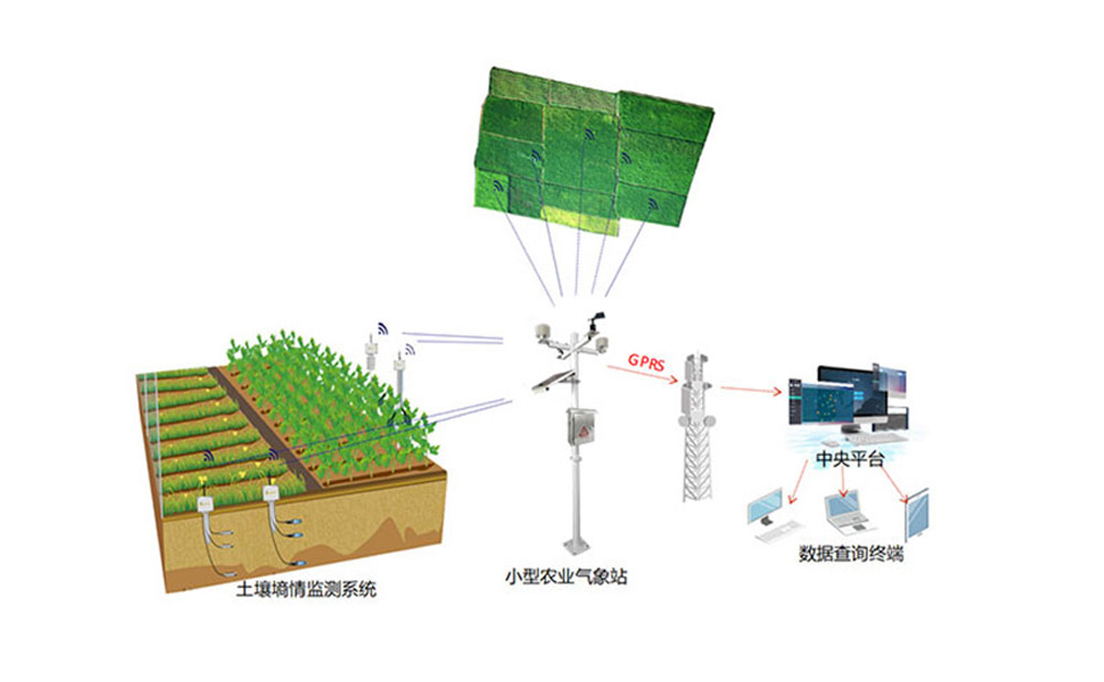 智慧農(nóng)業(yè)氣象監(jiān)測