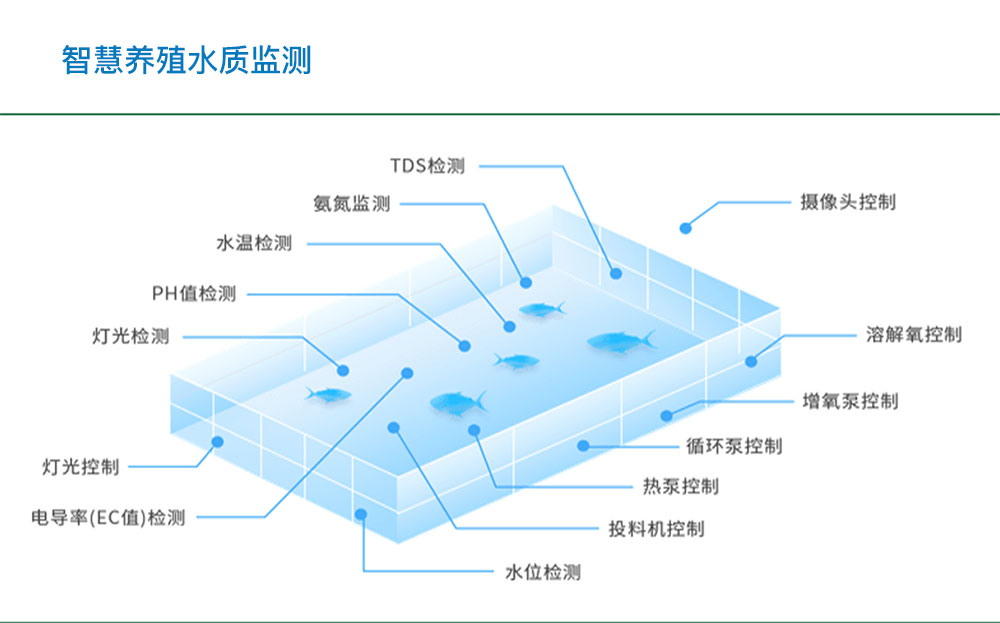 智慧水產(chǎn)養(yǎng)殖水質(zhì)監(jiān)測